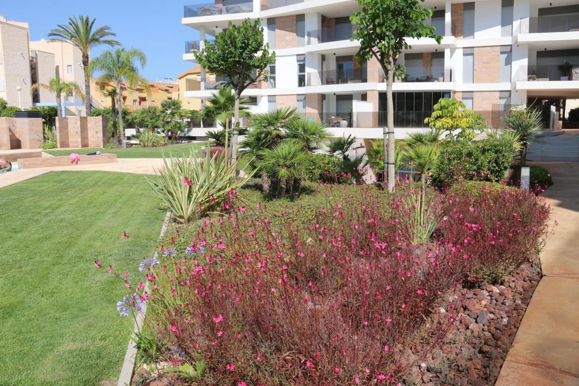 Luxusni Apartman Ve Spanelsku, Cabo Roig Оріуела Екстер'єр фото